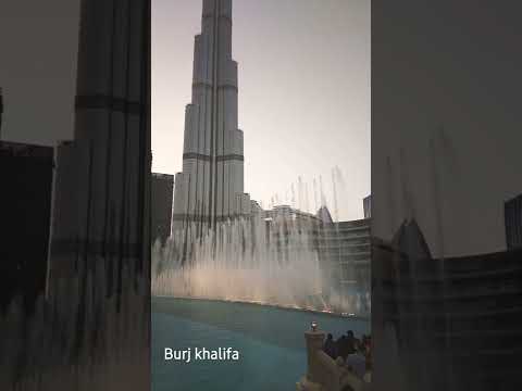 15 February 2022