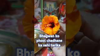 #shiv #upay #katha #bholenath #pradoshkeupaypradeepmishraji