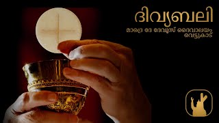 ദിവ്യബലി |13-5-2026 | 5:30 PM | മാദ്രെ ദേ ദേവൂസ് ദേവാലയം വെട്ടുകാട്