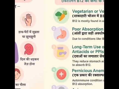 b12 vitamin is must for brain function