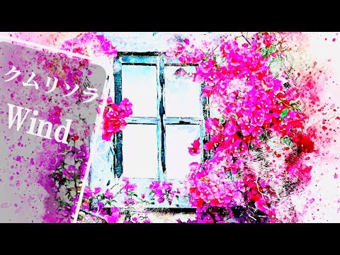 元気が出る大人の青春ソング🎵頑張るあなたの応援ソング🤗 Wind/クムリソラ