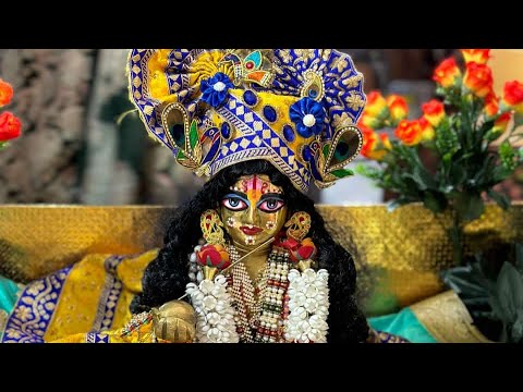 Radhashtmi and nandutsav Highlights 🙌🏻🙌🏻#jairadheshyam #harinaamsankirtan