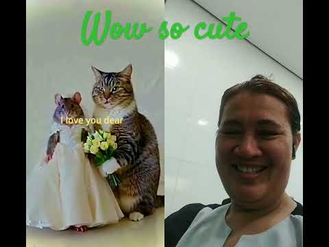 Buti pa kayo foreverlove #catlover #cat&mouse#cutecat#likeandsubscribe