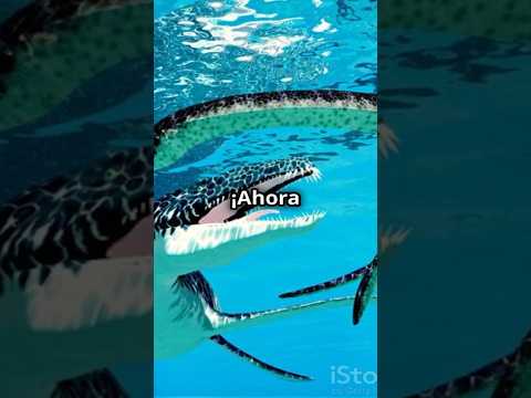 ¿QUIÉN GANARÍA? ¡60 Delfines vs Ichthyosaurus! #batallaépica #animales #dinosaurios