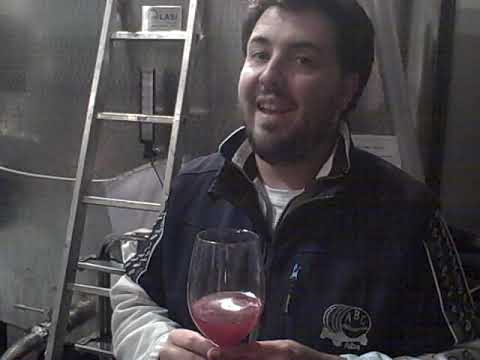 DBGitalia visits Trediberri's Anna Rosa & Nicola Oberto at the end of their 2016 Barolo harvest