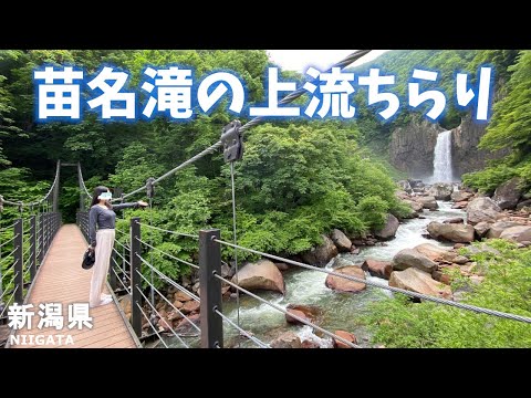 【新潟県観光】NICOLIでランチしたあと苗名滝の上流を少しだけ見てきます！[Sightseeing in Niigata Prefecture] Naena Falls after lunch!