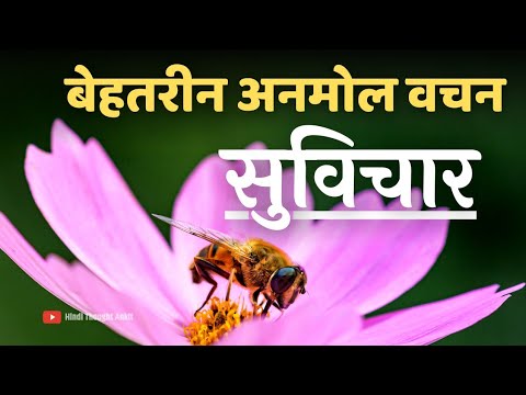 बेहतरीन अनमोल वचन सुविचार || Suvichar Motivational | Aaj ka Suvichar Status | Vachan | Hindi Thought