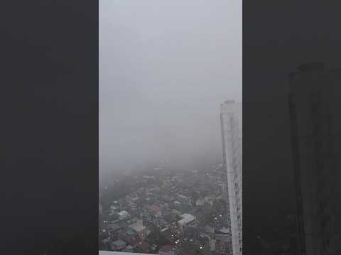 Foggy Weather in the QCity: Beyond the FOG lies clarity #shortsfeed #shorts  #rainyweather