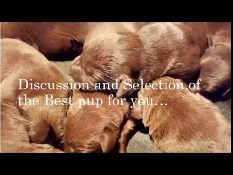 Part #2    Discussion