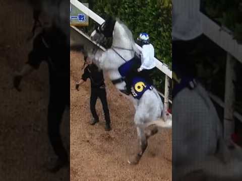 愛すべきやべーやつ、ゴールドシップ集#競走馬 #ゴルシ