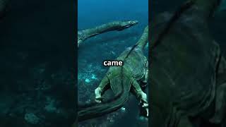 From Ocean Depths To Now: Sea Life Evolution! #sea #animals #life #nature #prehistoric #marine #ai