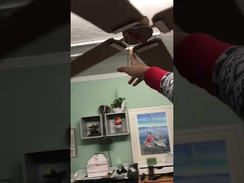Cardboard ceiling fan noisy