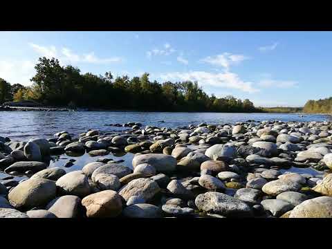 Peaceful Birds Music for RELAXATION | Lake sounds Flowing water |
