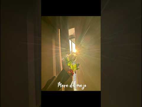 🌷🕸 #song #music #viral #songlyrics #yt#shorts #fypシ