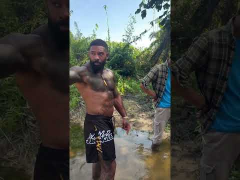 Releasing some elephant trunk snakes back into nature after being caught in fishing traps is a very
