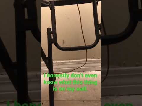 I don’t know what this wall crawler is.