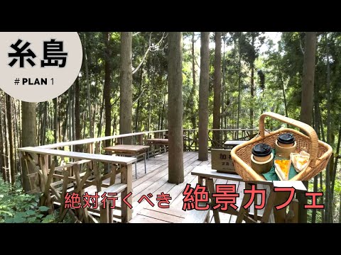 【必見】大人気ツリーハウスカフェは２０万人が訪れる取材殺到絶景だった。　#森のカフェ#糸島 #福岡