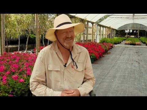 Ron's melanoma story