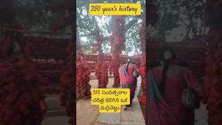 #350years #shortvideo #history #facts #350banyantree #templestories
