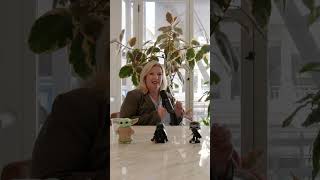 From Yoda to the Future of Work: Celebrating Episode 400 - Workplace Innovator Podcast