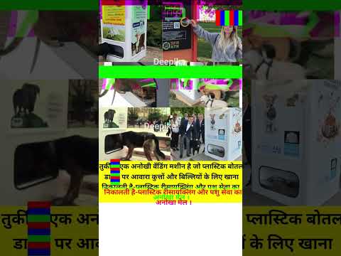 तुर्की में एक अनोखी वेंडिंग मशीन है जो प्लास्टिक बोतल डालने पर आवारा कुत्तों को भोजन देती  #shorts