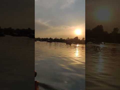 Can't get enough of this Valley #kashmirtourism #dallake #kashmirreels #ytshorts