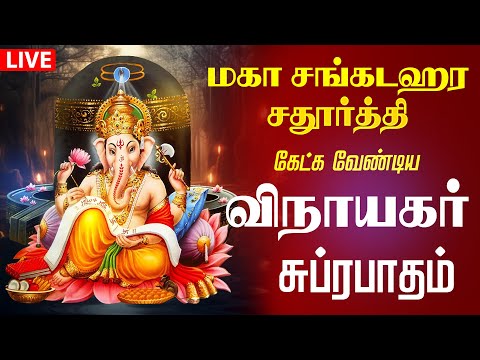 🔴LIVE SONGS| மகா சங்கடஹர சதுர்த்தி சங்கடங்களை தீர்க்கும் விநாயகர் சுப்ரபாதம் | Vinayagar Suprabatham