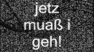 Spider Murphy Gang - Pfüati Gott Elisabeth (mit lyrics)