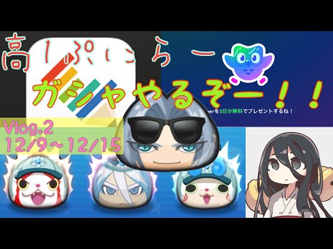 【#ぷに勉Part2】それでもぷにぷにって楽しいじゃんか。#Vlog #中国うさぎ#ぷにぷに#勉強