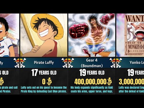 One Piece From Luffy's Perspective