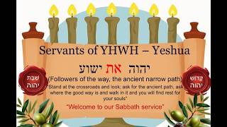 The Ancient path Torah Portion 59 YOU will be a Kingdom of Priests