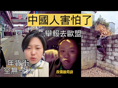 經濟出了什麼問題？現在比豬更害怕過年，為了更好的營商環境，有人開始了反制..