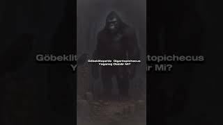 Göbeklitepe'de Gigantopichecus Yaşamış Olabilir Mi? #gigantopithecus #gobeklitepe #gorilla #audio