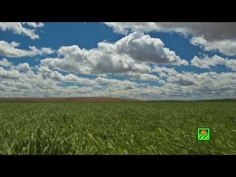 Standlee Premium Western Forage® Farms