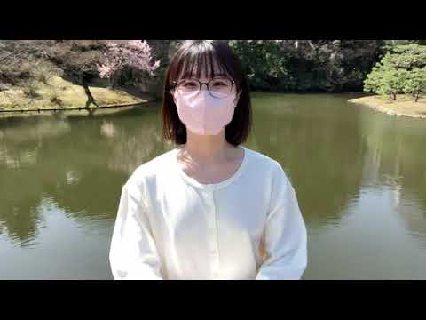 【ノーブラ散歩】新宿御苑も桜が満開でした🌸【うみ散歩】