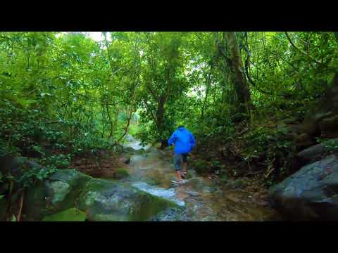 Malayattoor Kalluvathil Waterfalls