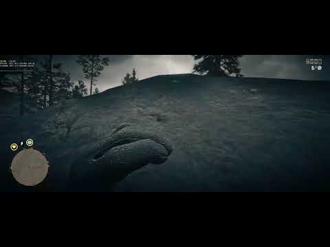 Low IQ aimbotter tries to shoot through the rock