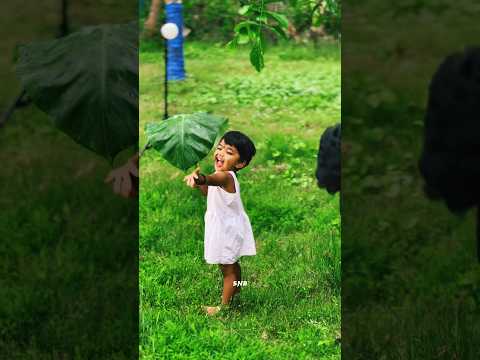 ഞങ്ങടെ തുമ്പിപ്പെണ്ണിന് ജന്മദിനം🦋 #art #creator #nature #kozhikode #bday #love #photography