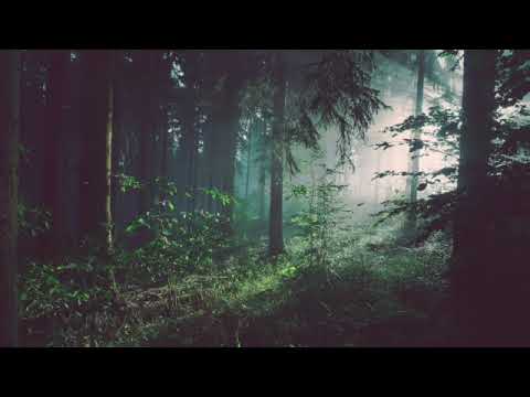 Mariecharlotte - Prière - Méditation pour les Etres de la forêt