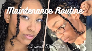 Mini Twist maintenance | My Go-to Routine ##curlyhair #curlconfidence #protectivestyles 