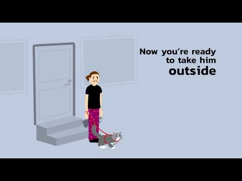 How to put a harness on a Watson