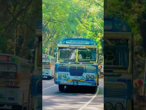 එහෙන් අහිංසකාවී පාස් එකත් ගහන් එනකොට මෙහෙන් චූටිපුතා එහාට යනවා 😍🫂