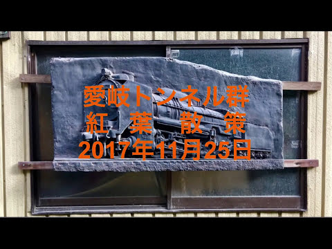 愛岐トンネル秋20171125
