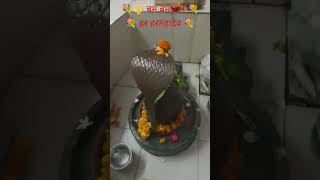 💐#trending #shortvideo #bambambholenath #shivshankar