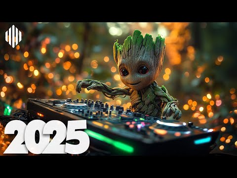 Music Mix 2025 🎧 Top Mashups & Remixes | EDM Bass Boosted Hits Compilation 🎶