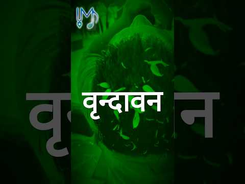 आली का मतलब होता है सखी, नीको का मतलब होता है प्यारा ❤️