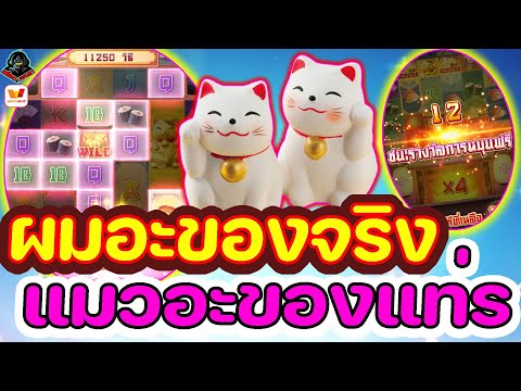 สล็อต วอ เลท | สล็อต วอเลท | สล็อตวอเลท | ผมอะของจริงแมวอะของแทร่