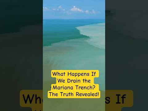 Draining the Mariana Trench: What Would We Discover Beneath?"#Mariana Trench #DeepSea #Oceanography