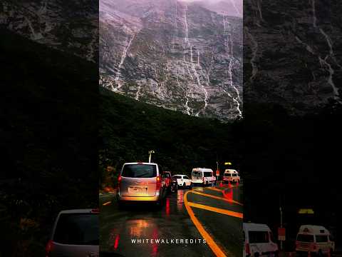 Explore the beauty of nature #NatureBeauty #ExploreOutdoors #WildlifeWonders #NatureVibes