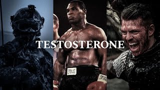 30 Minutes of PURE TESTOSTERONE - The Most Powerful Motivational Speech Compilation
